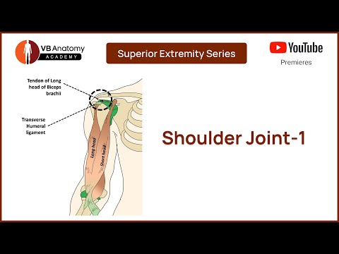 Shoulder Joint Anatomy 1: A Comprehensive Guide #vbanatomy