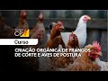 Curso Administração da Pequena Empresa Rural