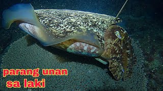 Download lagu ep619 Dive2 parang unan sa laki Naka swerti mp3 Download lagu ep619 Dive2 parang unan sa laki Naka swerti mp3