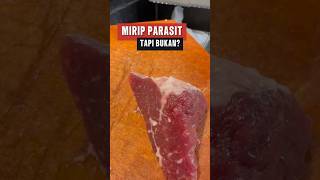 Download lagu Selected Beef Fiber Appearance mp3