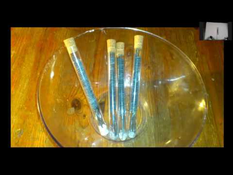 2016 06 05 PM Public Teaching in Polish - Nauki publiczne w języku polskim