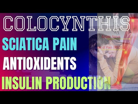 Colocynthis Best 5 Indicators Sign and Symptoms