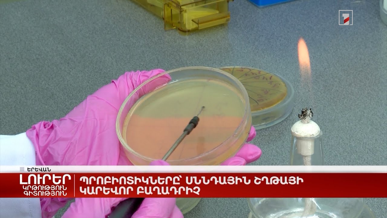 Պրոբիոտիկները՝ սննդային շղթայի կարևոր բաղադրիչ