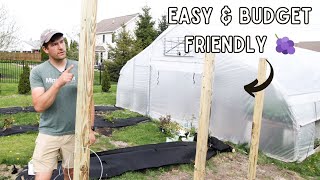 I Couldn’t BELIEVE How CHEAP & EASY This Grape Trellis Was to Build! 🍇