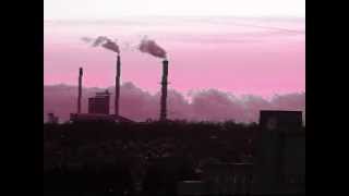 CAPTAIN BEEFHEART -- HOT HEAD