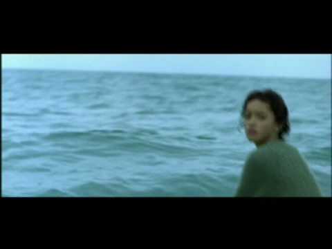 The whale rider essay