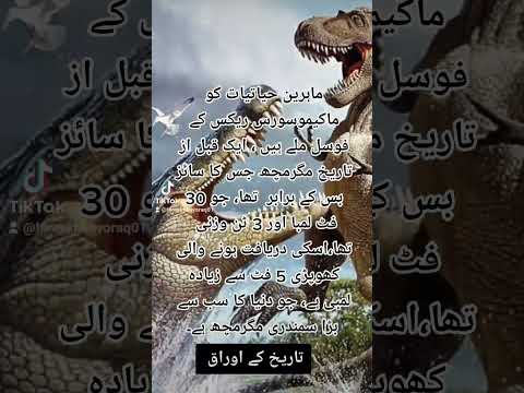 Machimosaurus rex #tareekh #history #ancient #crocodile #crocodyliform