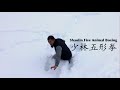 少林五形拳 | Shaolin Wu Xing Quan | Five Animal Boxing