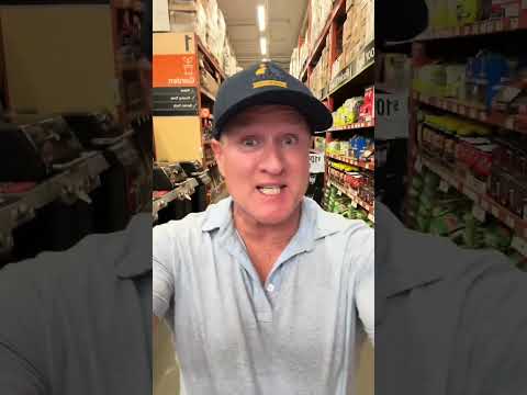 DON'T DO IT! Drain fly BUYING tips you need to know...