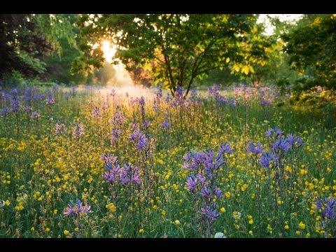 Highgrove: Discover its sustainable secrets