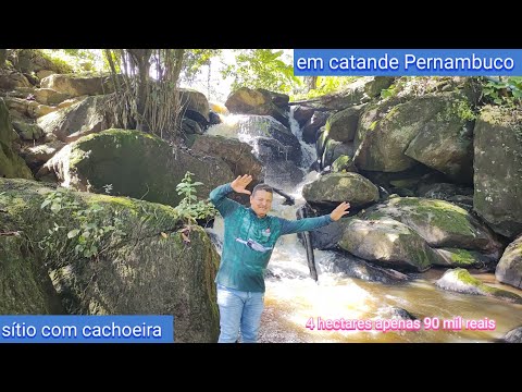 Lindo sítio à venda na zona rural de Catende PE 4 hectares escritura pública 90 mil reais 