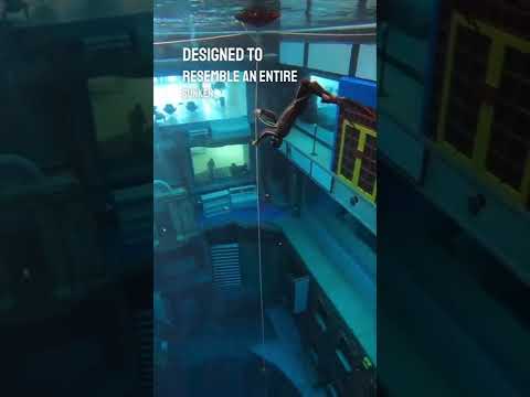 Das ist das tiefste Schwimmbecken der Welt 😱