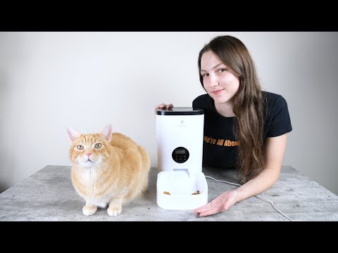 Petlibro Automatic Cat Feeder Review (We Tried It)