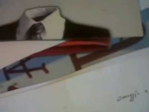 FAUSTO MARIA PICO: OMAGGIO A TOTI SCIALOJA