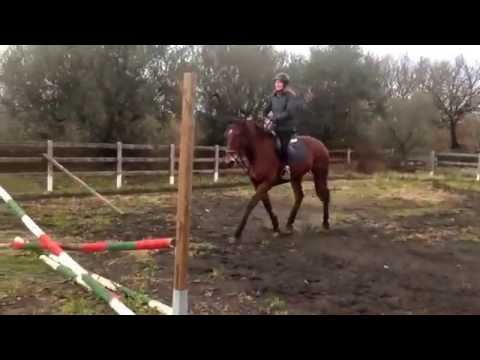 Una Favola della Leia prima crocetta di sempre Sivia C. DAJE !!