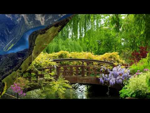 TEDDY BEATS & CAMDEN LEVINE FT.JOLEE NIKOAL - WAITING FOR TONIGHT (SIMONOFF REMIX)