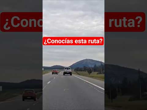 ¿Conoces este camino en Maldonado? 🚗 #ViajeEnAuto #UruguayNatural #RutaInterbalnearia