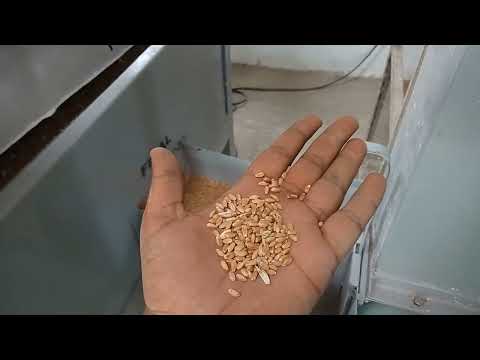 Automatic Seed Processing Machinery