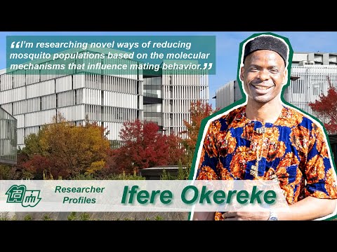 Ifere Nwuneke Okereke: Controlling mosquito mating behavior and Japanese aquaria [EN & JP subs!]