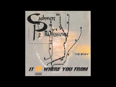 Cashmere the PROfessional - Thinking