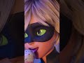 Que Flerte é Esse Cat Noir Ladybug Miraculous