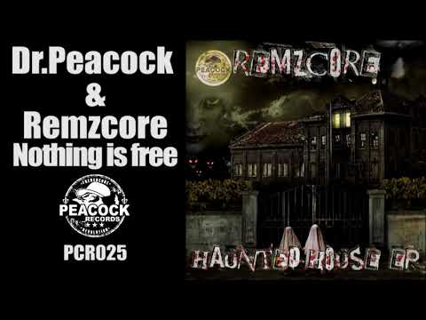 Dr. Peacock & Remzcore - Nothing is free