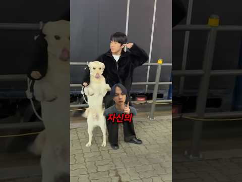 참고로 리트리버 키는 대략 130cm 정도이다