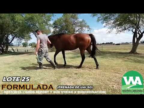 Lote FORMULADA