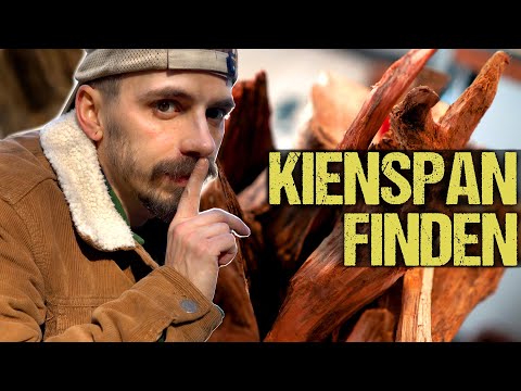 Kienspahn Zunder | Das Gold des Waldes  | Finden, Verarbeiten, Feuerstahl entzünden | Uralte Methode