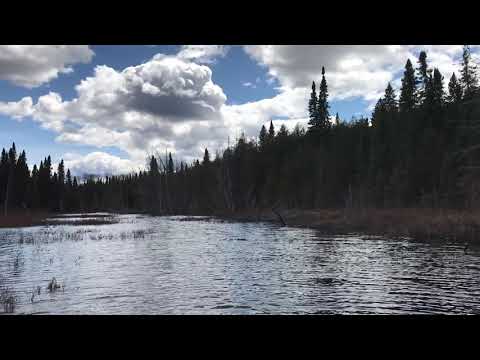 Portage at Bulldozer Lake 2019