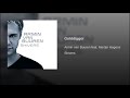Armin Van Buuren - Golddigger