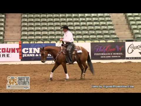 Nic It Smartly ridden by Les Vogt  - 2016 NRCHA Snaffle Bit Futurity (Open Bridle, Prelims)