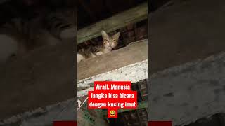 Download lagu Viral Kucing Bisa Ngomong Dengan Orang.Ada apakah? mp3 Download lagu Viral Kucing Bisa Ngomong Dengan Orang.Ada apakah? mp3