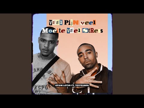 Veel Pijn Veel Moeite Veel Stress (feat. Toyfeunen)