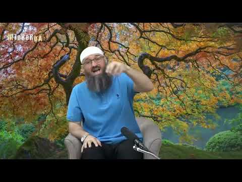 Žena je skinula hidžab zbog pritiska muža - Elvedin Pezić