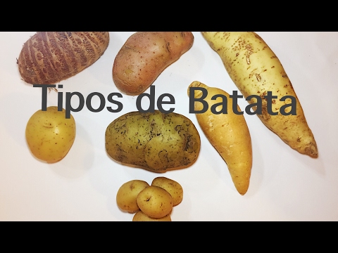 , title : 'DICAS DA CHEF: Tipos de Batatas'