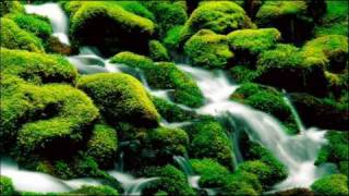 Statik Sound System - Free To Choose, Hard To Be