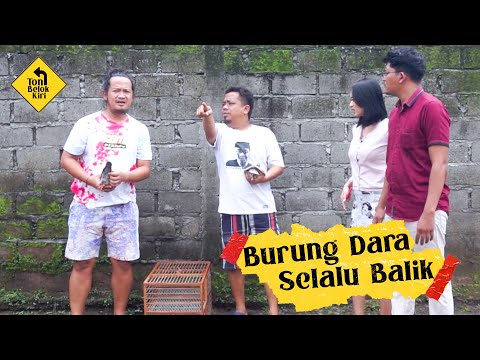 toni-belok-kiri-s6-ep-5-burung-dara-selalu-balik