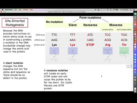 Intro to Biotechnology - Chapter 4 Lecture - Part 3 - Isolating and Manipulating DNA