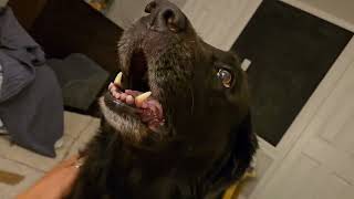 Wake up.....Hadley and Quinn