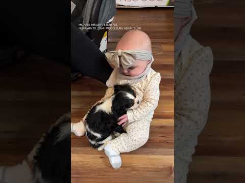 Baby and puppy become instant best friends