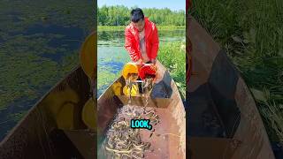 Download lagu River Eel Trap Catches So Many Eels! You Won’t Believe This Simple Fishing Trick! #shorts #trap mp3
