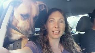 This Is My Kforce: Becky Zill