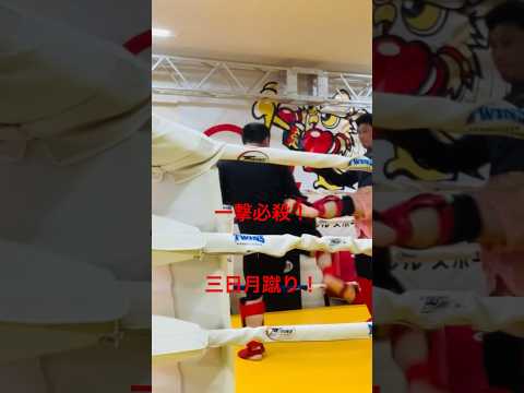 [キックボクシング　トレーニング　格闘技] 一撃必殺！　三日月蹴り！　#キックボクシング #トレーニング #格闘技