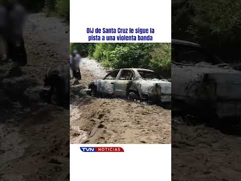 OIJ DE SANTA CRUZ SIGUE LA PISTA A VIOLENTA BANDA EN GUANACASTE | TVN NOTICIAS