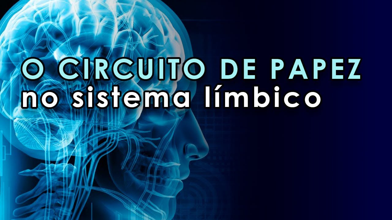 Circuito de Papez - Sistema Límbico