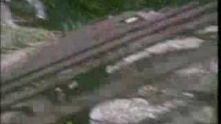 The Clean:  "Anything Could Happen"