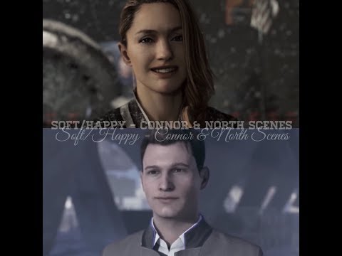 Detroit Become Human / soft connor & north scenes