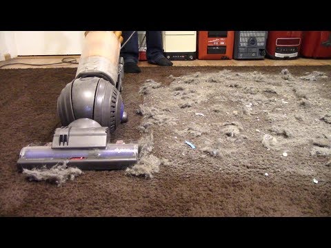 BIG Fluffy Mess Test 😨 (Dyson DC40 MKII)