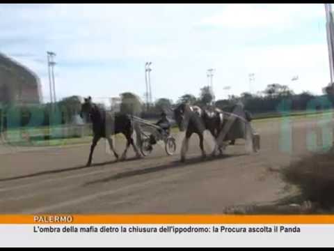 L'ombra della mafia dietro la chiusura dell'ippodromo [TgMed 09/03/2017]